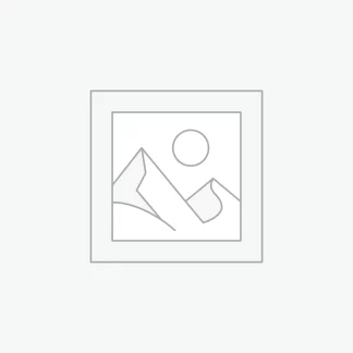 Pattachitra painting style